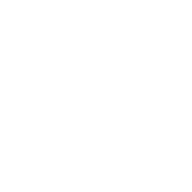 visa 1