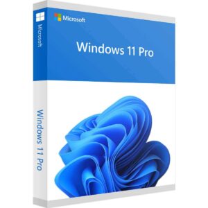 Windows Pro x@x